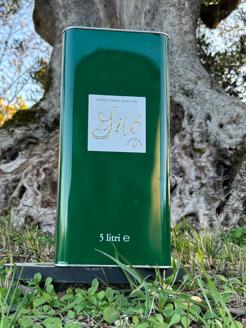 Latta 5 litri Olio Extravergine di Oliva
